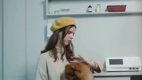 Amazing Dog Video #shotrs #shortvideo #animal #trending #dog