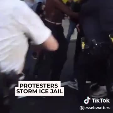 More loony toon protesters