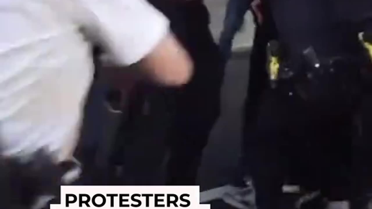 More loony toon protesters