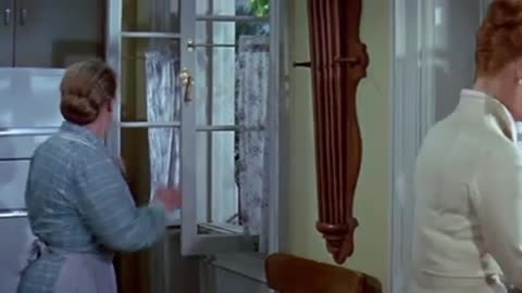 The Fly