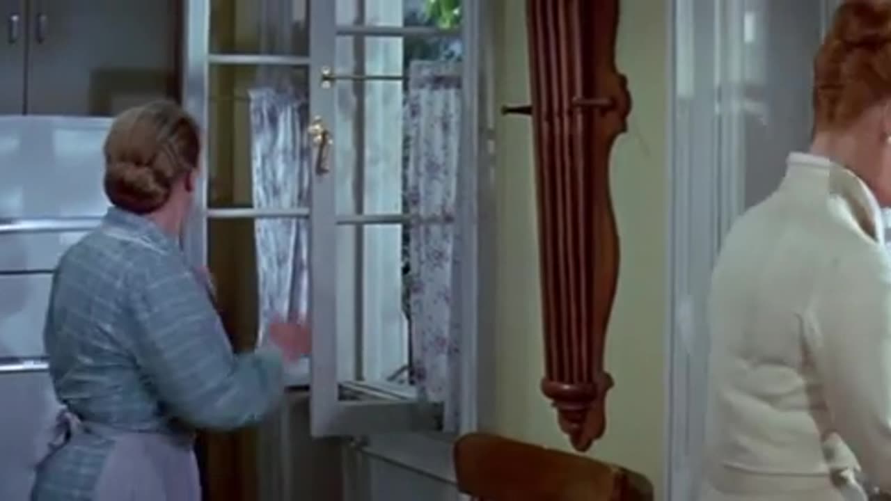 The Fly