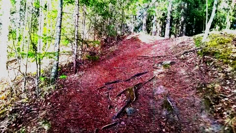 Joku kaunis päivä on toisin, uni 14 - Indy Angel