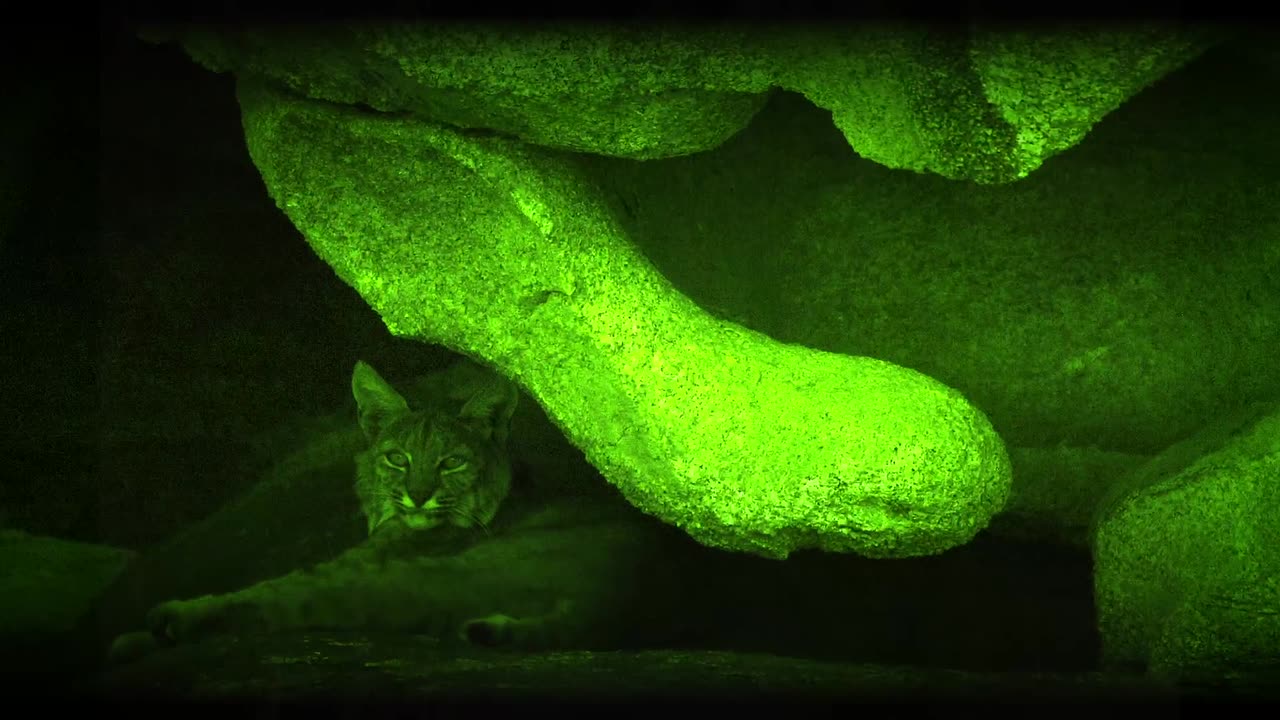 Lack of Belief Joshua Tree Ep. 15 Pt. 1 Intro