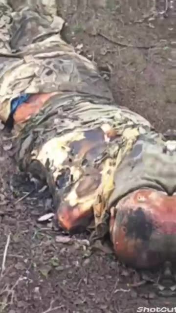 Ukraine war combat/related footage 12/30/25