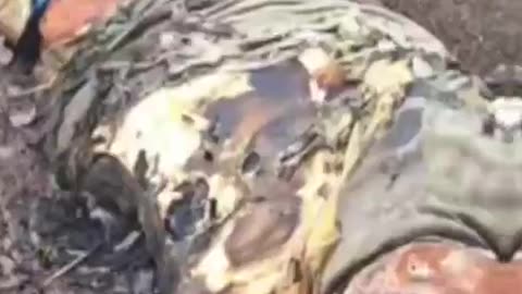 Ukraine war combat/related footage 12/30/25