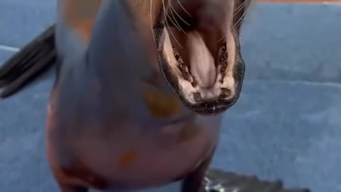 Monday morning wake up call 🤣