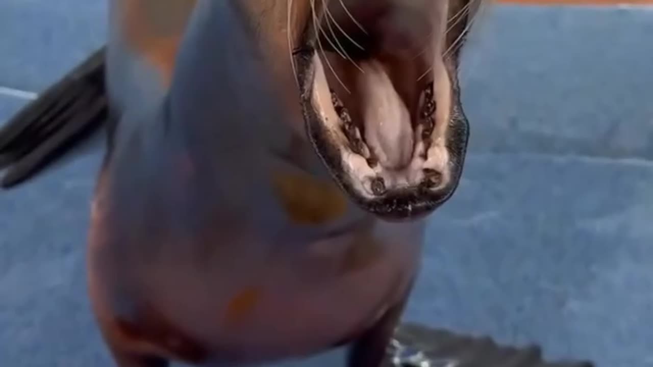 Monday morning wake up call 🤣