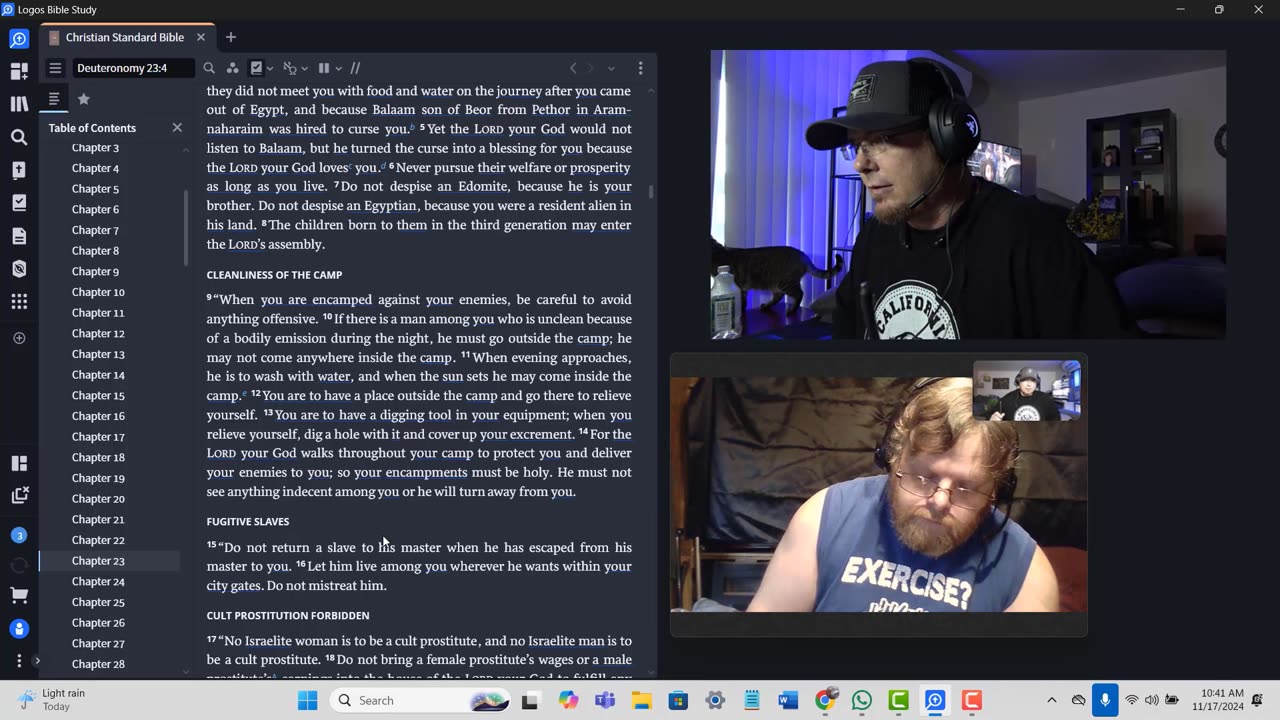 the fallen angles watch us [The Bride of Christ]