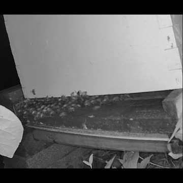 Thursday Morning Peek