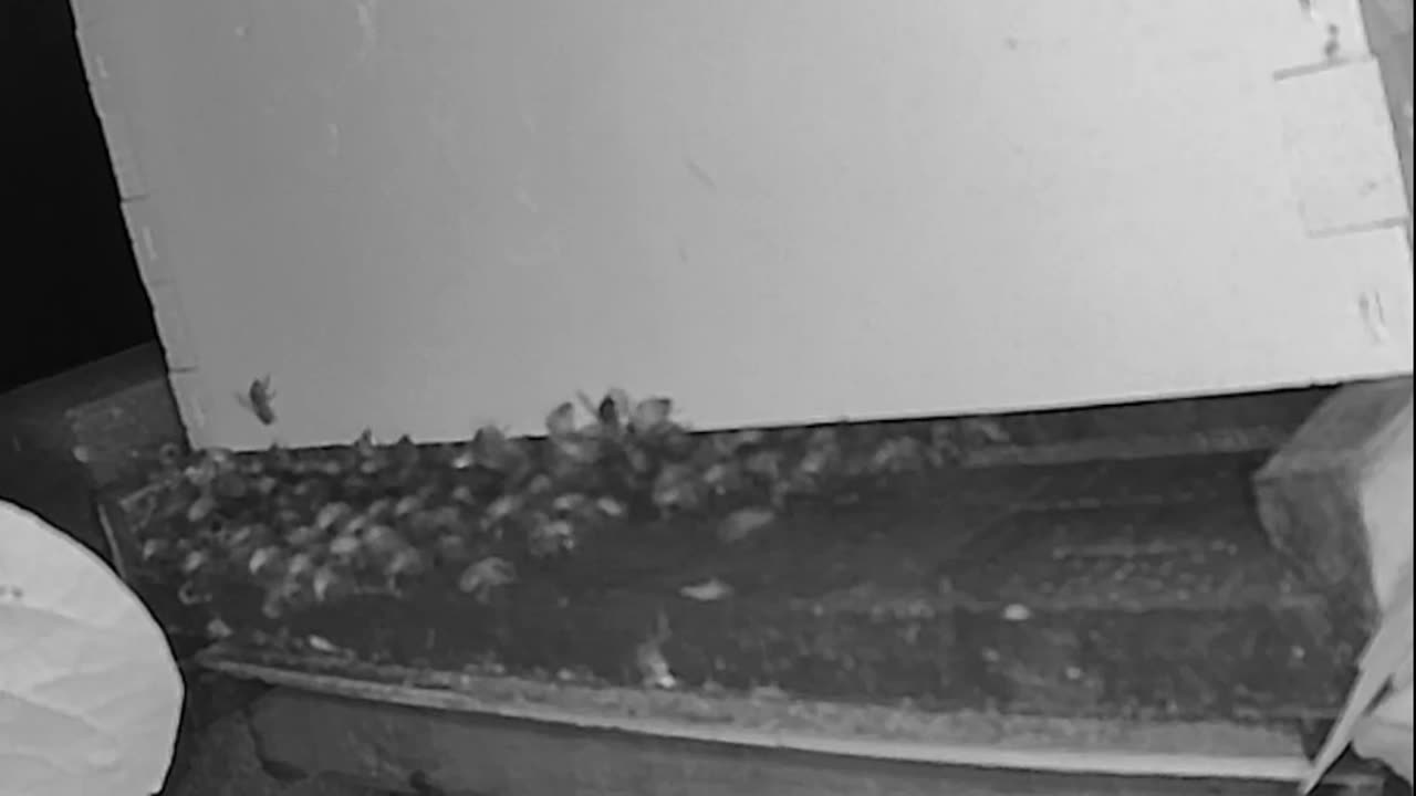 Thursday Morning Peek