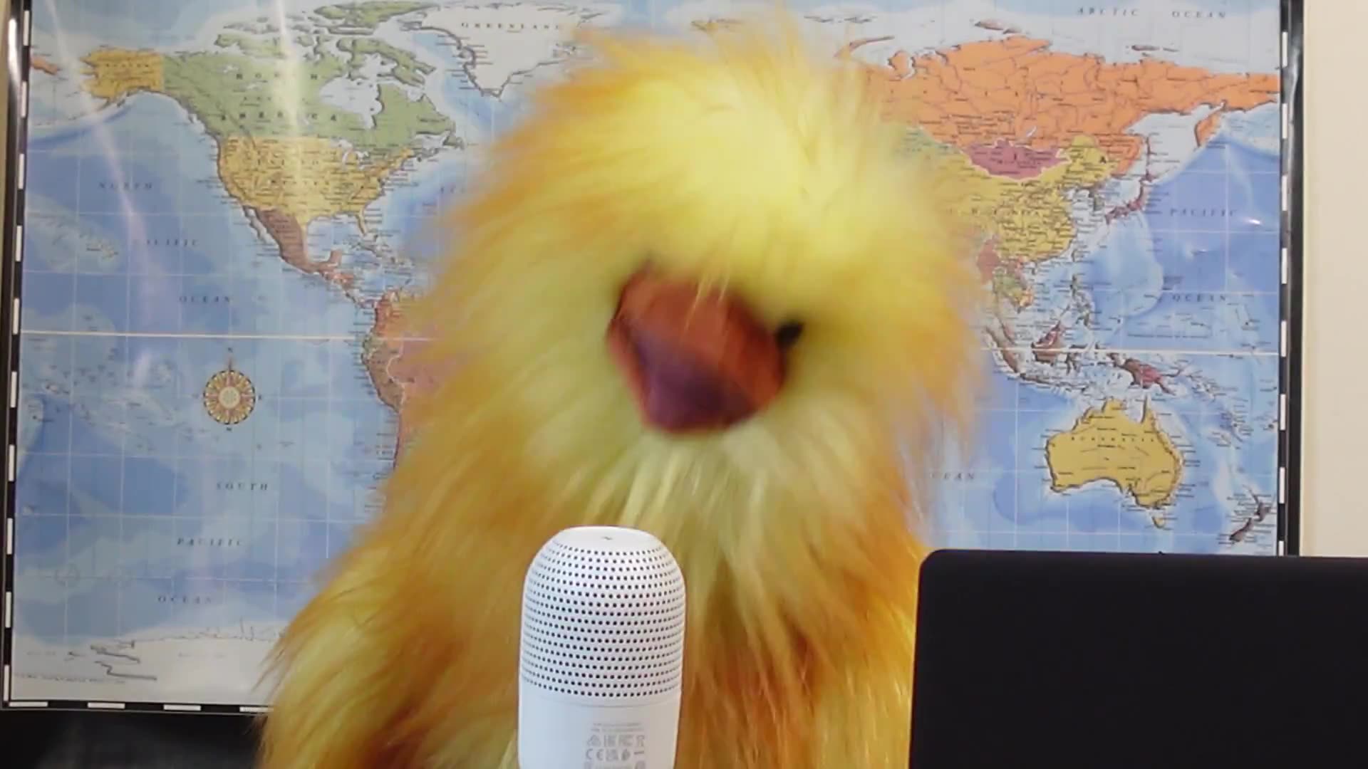 Henrietta Promises "Bombshell" report On Her First Foray into International News....