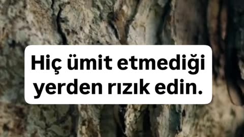 Günün sözü