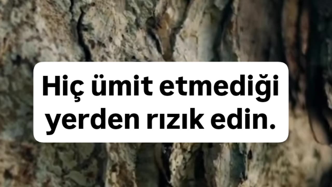Günün sözü