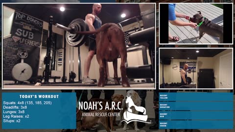 LBL Session w/Finley Pup [Week 17] - Leg Day // Animal Rescue Stream :)
