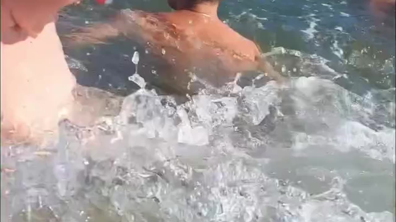 Imagine being in the ocean for this🤩