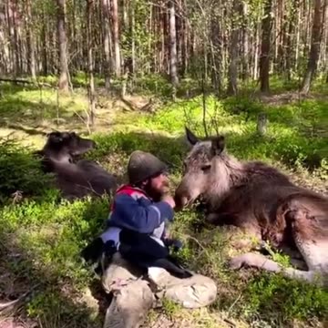 The owner of the forest