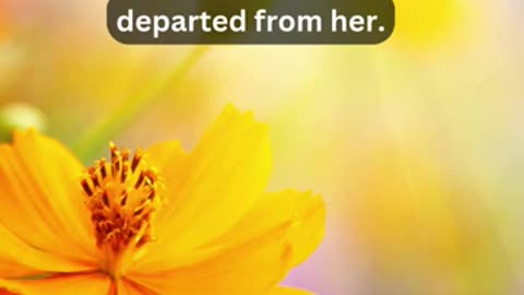 Journey of faith and spiritual growth Luke 1:38 Daily Bible Verse
