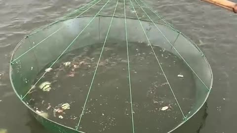 Fishing net