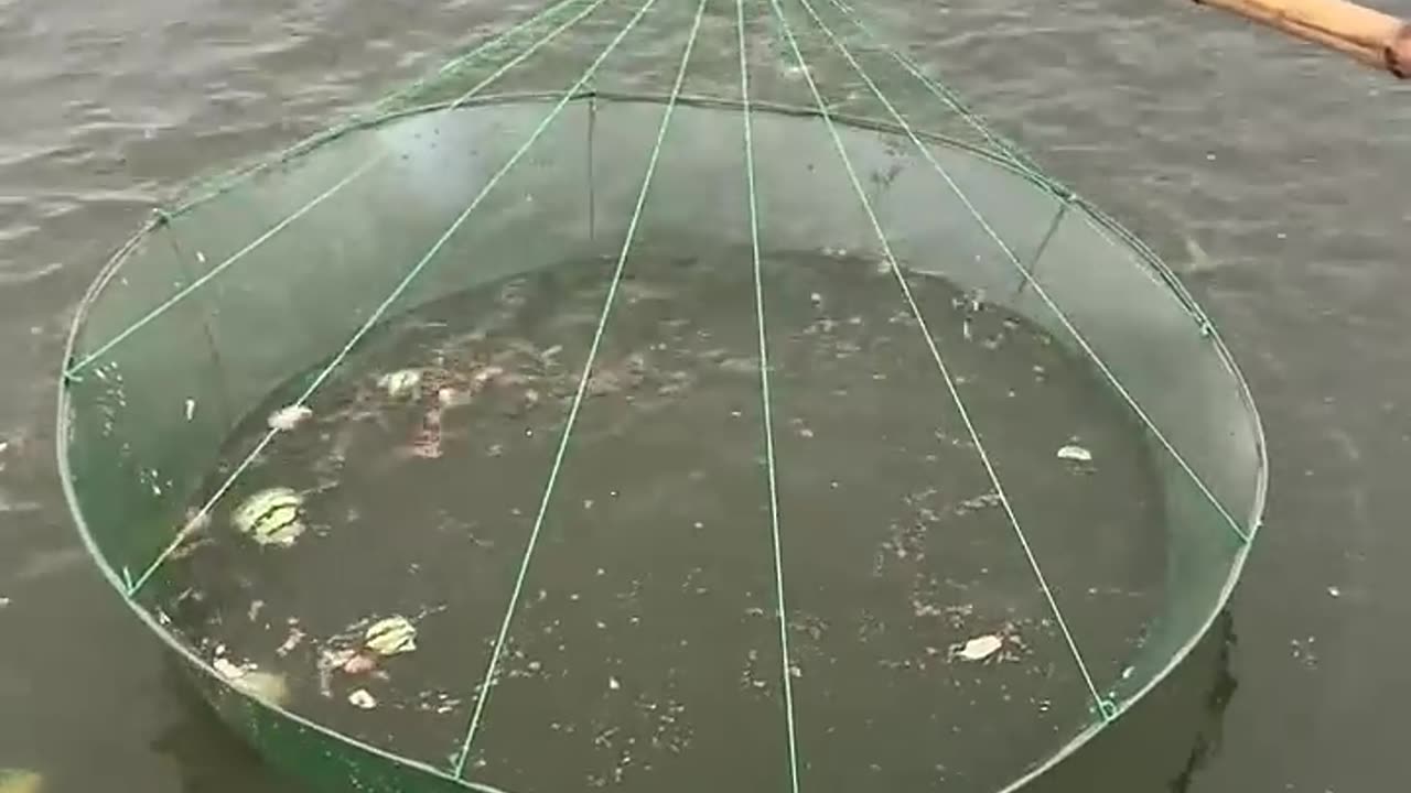 Fishing net