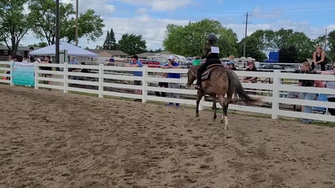 Western Horsemanship rail class