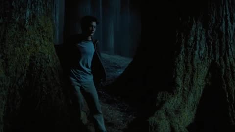 Harry Potter Part-19
