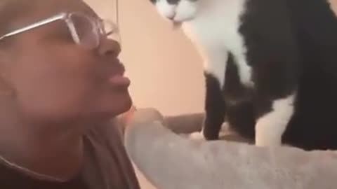 😂🐈 This Cat Hates Singing to It! | FunFM