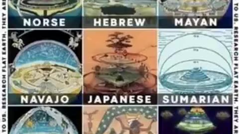 この世界のいたるところに、古代の木の切り株が静かな巨人のようにそびえ立っています