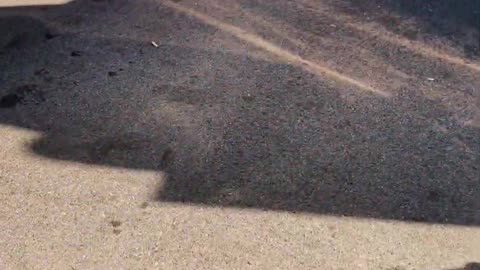 HOW DID I LOSE THAT #reallifetruckers #truckdriving #truckinlifestyle #trucker #reallifetrucker