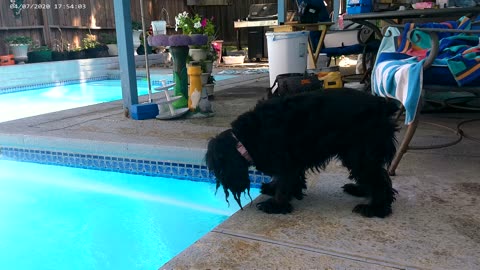 MacInerny Tops Off the Swimming Pool