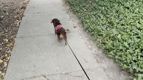 He Is So Happy