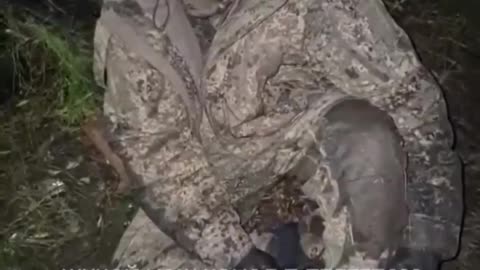 🤝⚔️ Ukraine Russia War | Russian Soldier Surrenders to MOROK Unit Near Sumy/Kursk Border | RCF