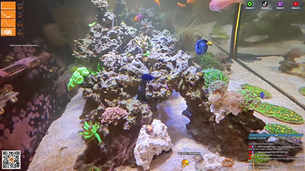 24/7 Real Live Reef Stream