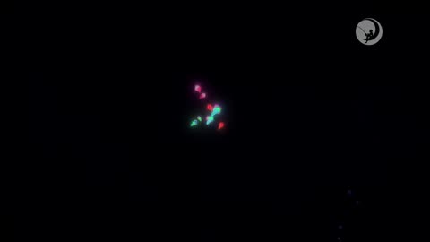 [R] Pasé de "Yoko y Sus Amigos" a "Trolls 2: Gira Mundial" | DreamWorks Channel LA (08/02/2026)