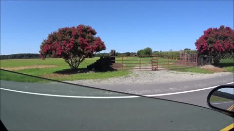 MORE RANDOM VIDS FROM PHONE