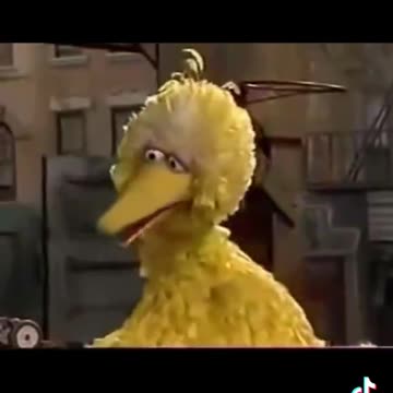 Sesame Street was created to give underprivileged kids TV education and representation