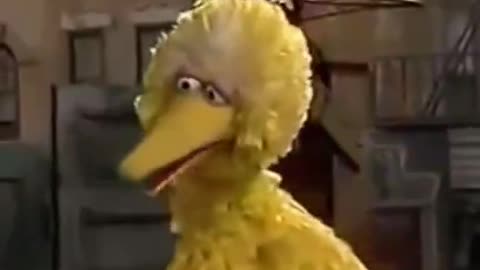 Sesame Street was created to give underprivileged kids TV education and representation