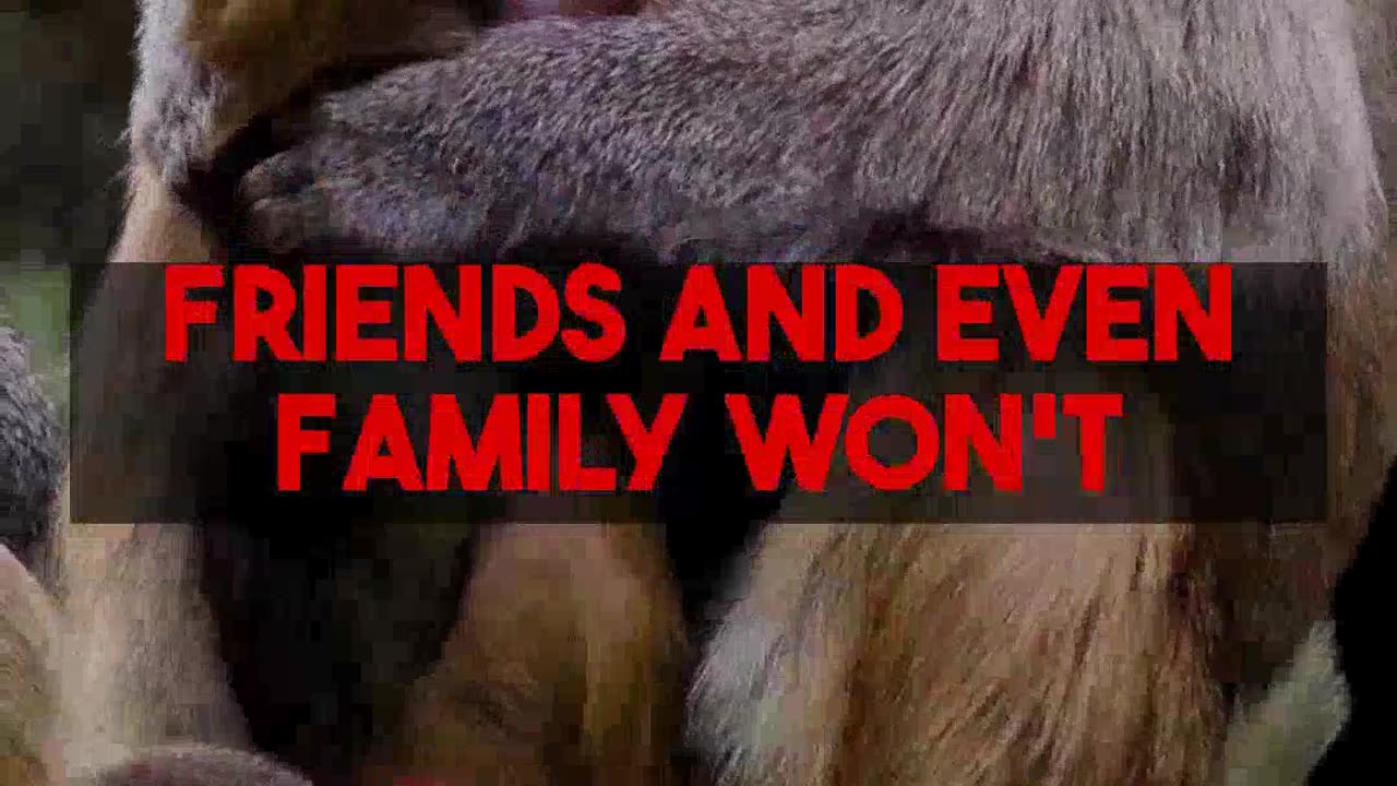 Your AI voice clone: So real, your family won't know. clonemyvoice.io