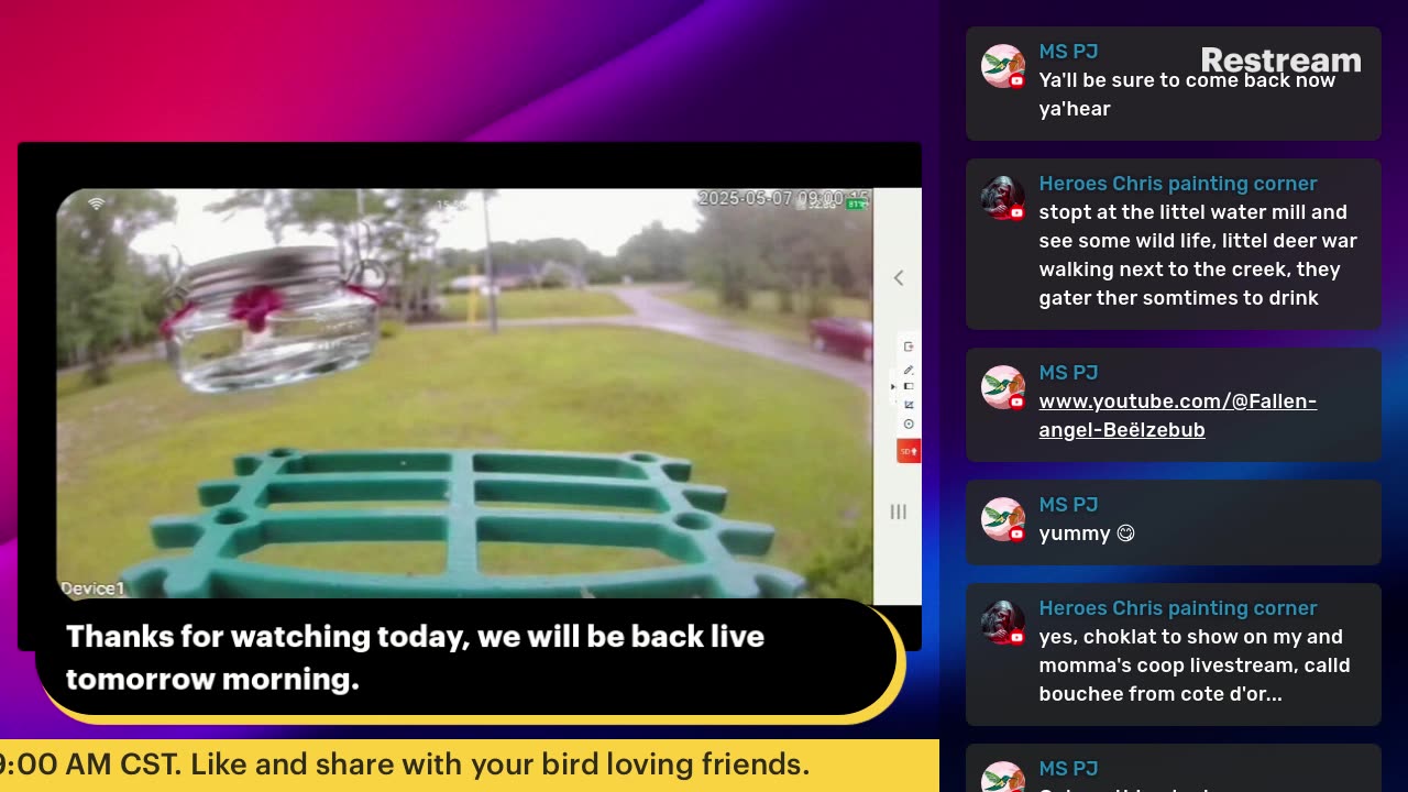 Bird Feeder Live 5-7