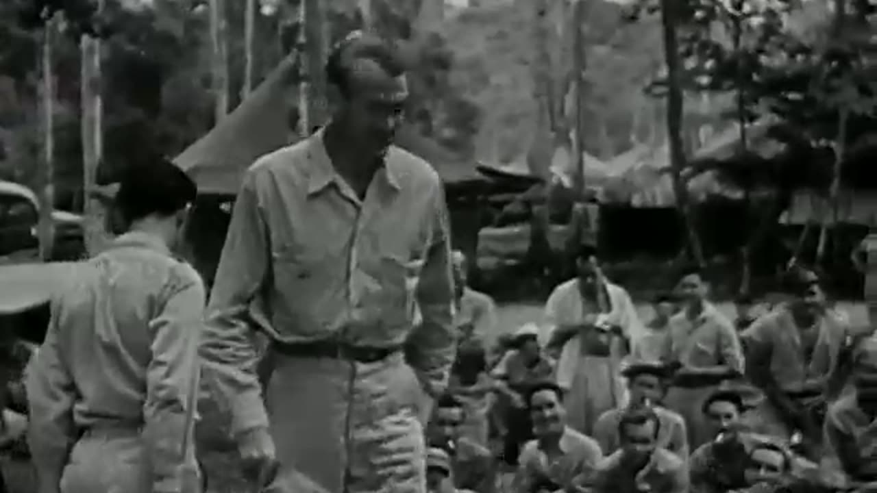 The Army Nurse