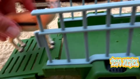 Female Elephant is put in Larger Cage to Make Comfortable