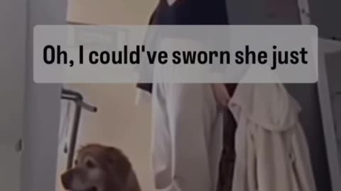 😂🐶 Old Dog, New Tricks! This Pup Will Surprise You! | FunFM