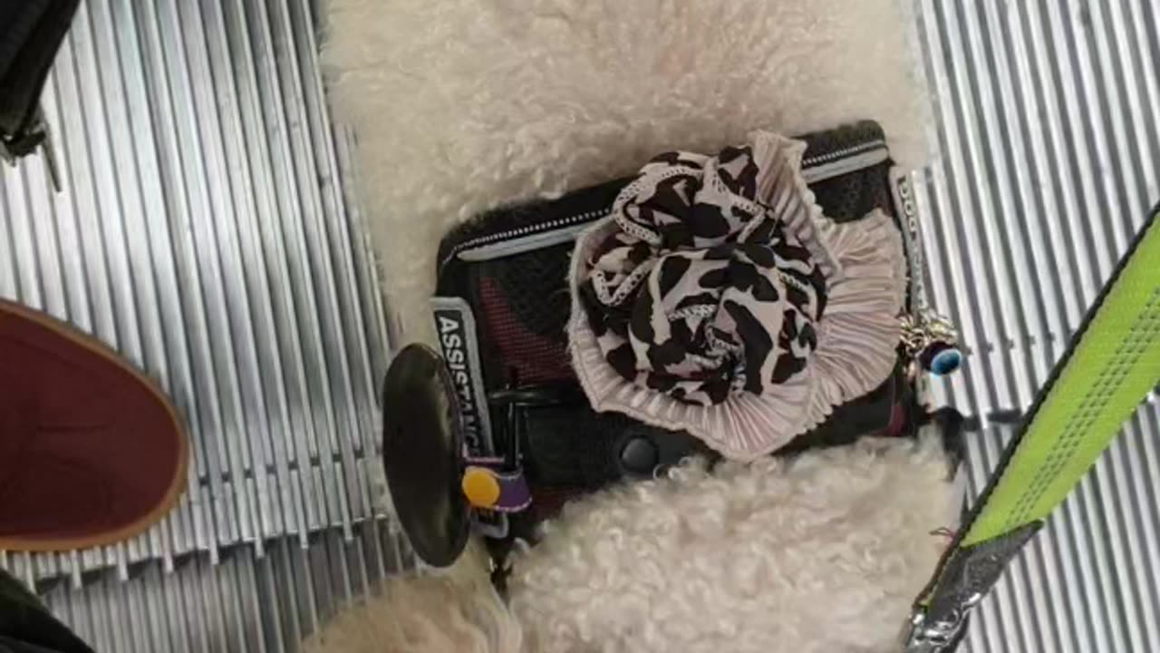 Escalator descending, fast loud movement