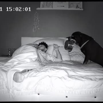 🤣❤️ #scareprank #scarecam #scary #scared #funnyvideos #funnymoments