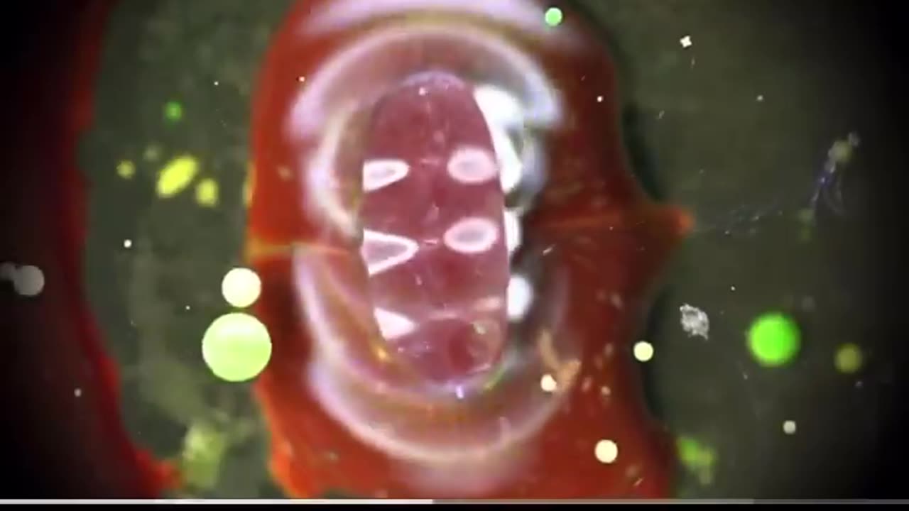 Water or plasma? At first glance, you’d never know—they both reveal Earth’s hidden frequencies