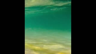 Daddy Goat 24/7 - Out Of Context Memes & Videos