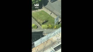 Daddy Goat 24/7 - Out Of Context Memes & Videos