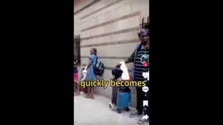 Daddy Goat 24/7 - Out Of Context Memes & Videos