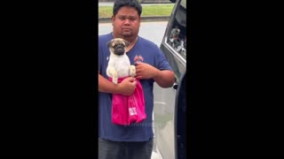 Daddy Goat 24/7 - Out Of Context Memes & Videos