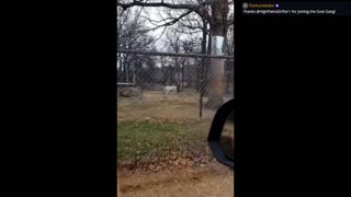 Daddy Goat 24/7 - Out Of Context Memes & Videos