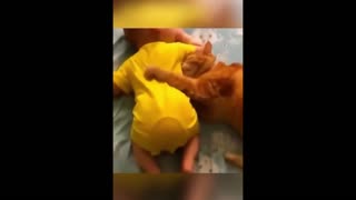 Daddy Goat 24/7 - Out Of Context Memes & Videos